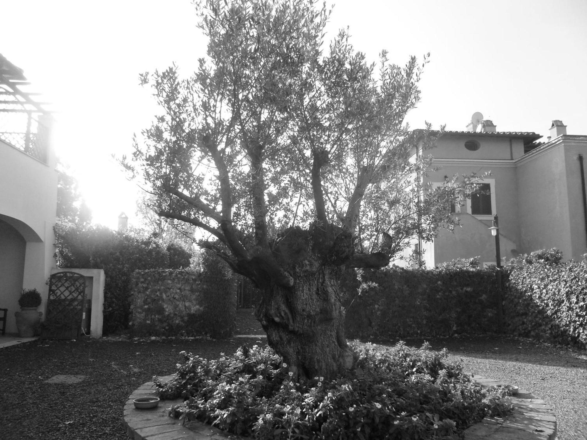 بوميتْسْيا Casale Di Tormaggiore Villa And Country Suites المظهر الخارجي الصورة